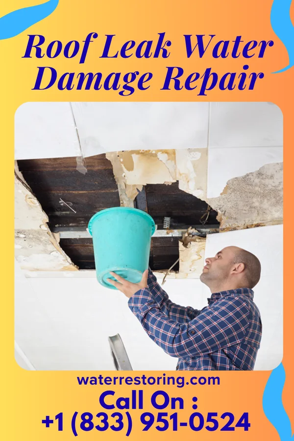 Roof Leak Water Damage Repair in Plankinton, SD